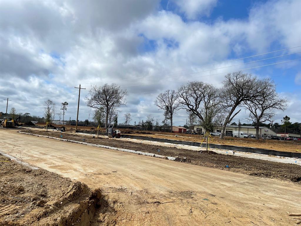 12027 Curlin Drive, Willis, Texas image 7