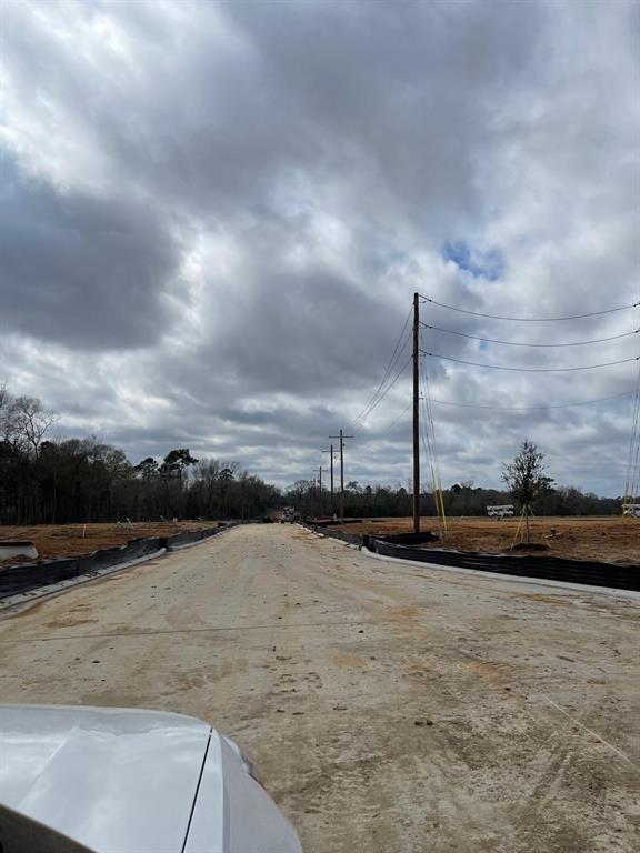 12027 Curlin Drive, Willis, Texas image 6