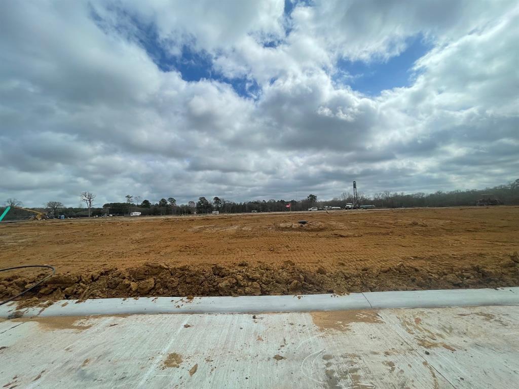 12027 Curlin Drive, Willis, Texas image 4