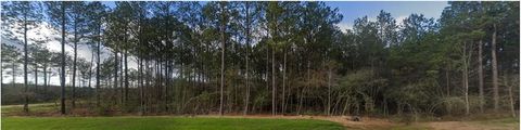 15508 Forest Grove Drive Willis TX 77378