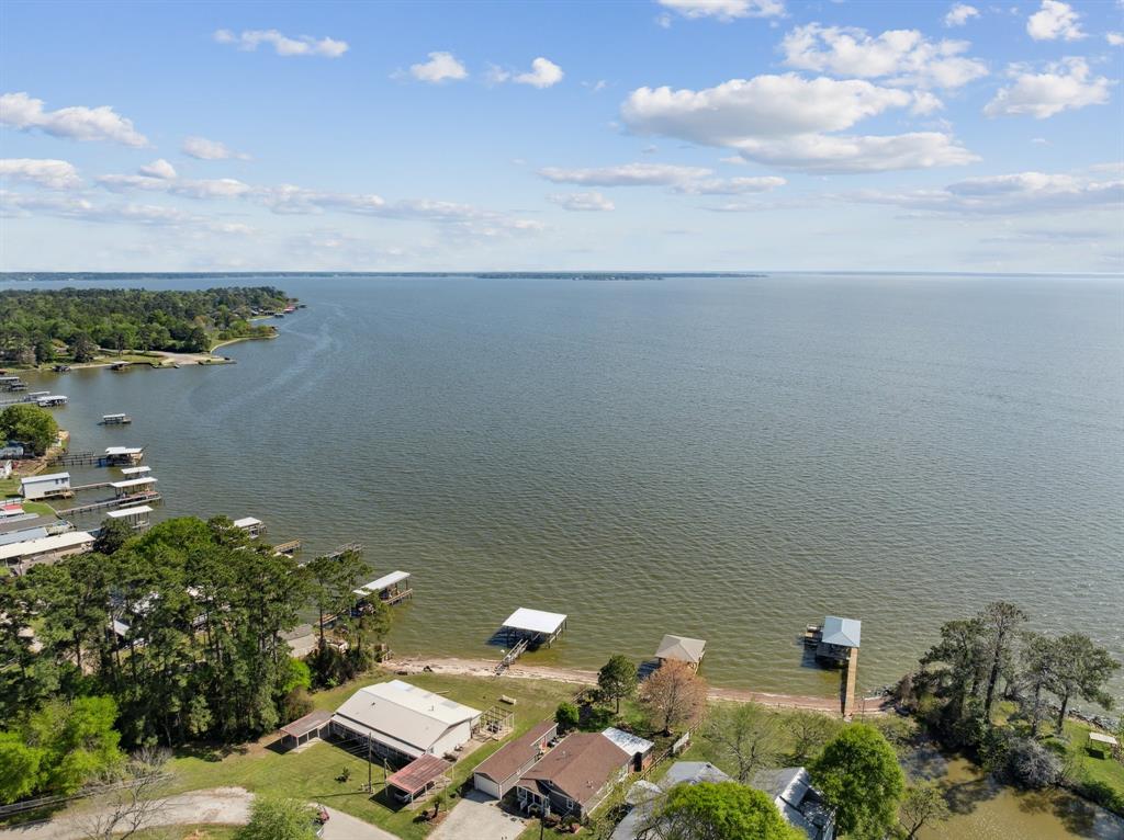 1383 Impala Drive, Onalaska, Texas image 4