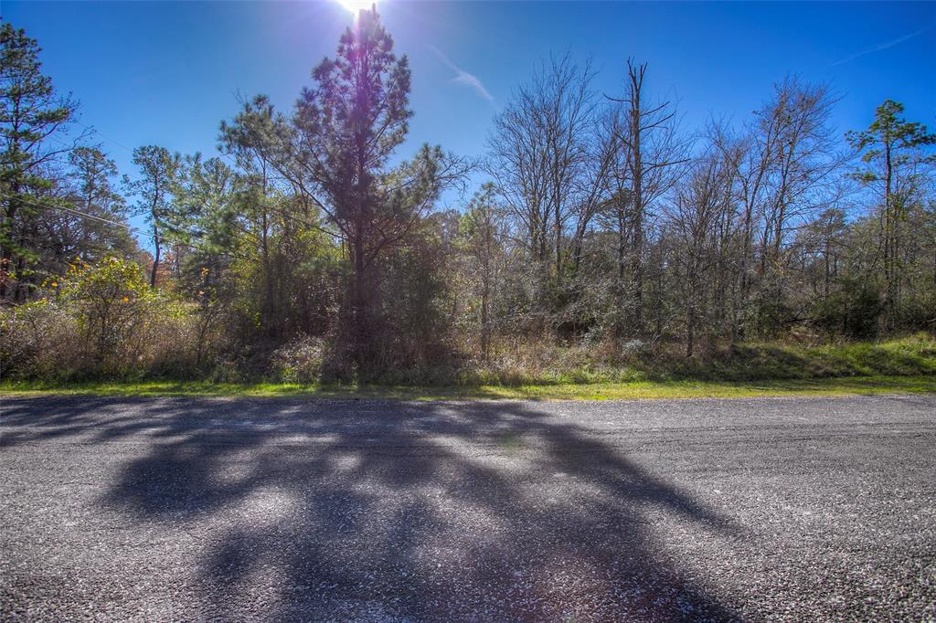 TBD Turner Drive, Huntsville, Texas image 14