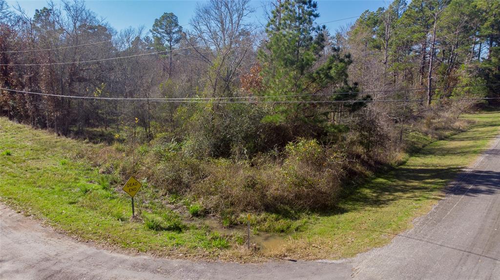 TBD Turner Drive, Huntsville, Texas image 11