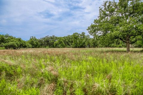 Photo of TBD Cr 125, Hallettsville, TX 77964 (MLS # 10588672)
