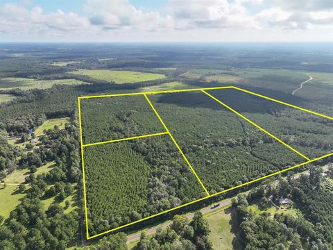 Photo of 5 Fm 1013, Kirbyville, TX 75956 (MLS # 33546720)