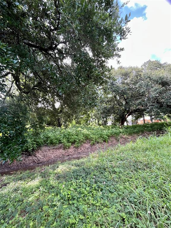 Ave G, Danbury, Texas image 3
