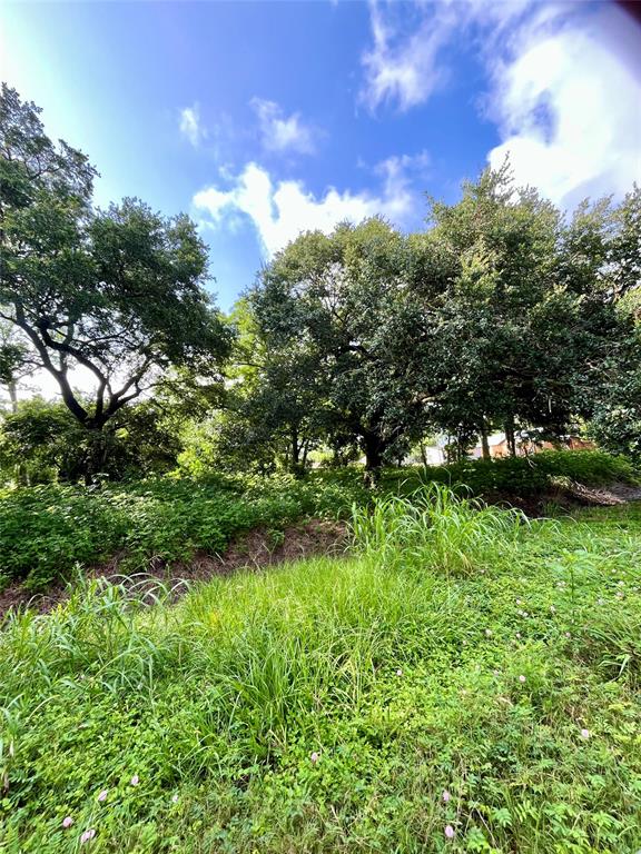 Ave G, Danbury, Texas image 1