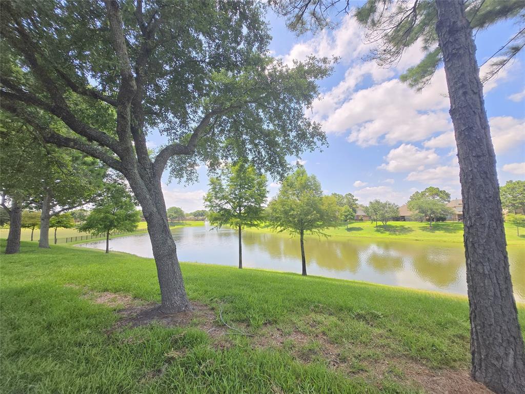 12515 Stoney Creek Drive, Pearland, Texas image 44