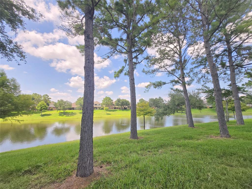 12515 Stoney Creek Drive, Pearland, Texas image 45