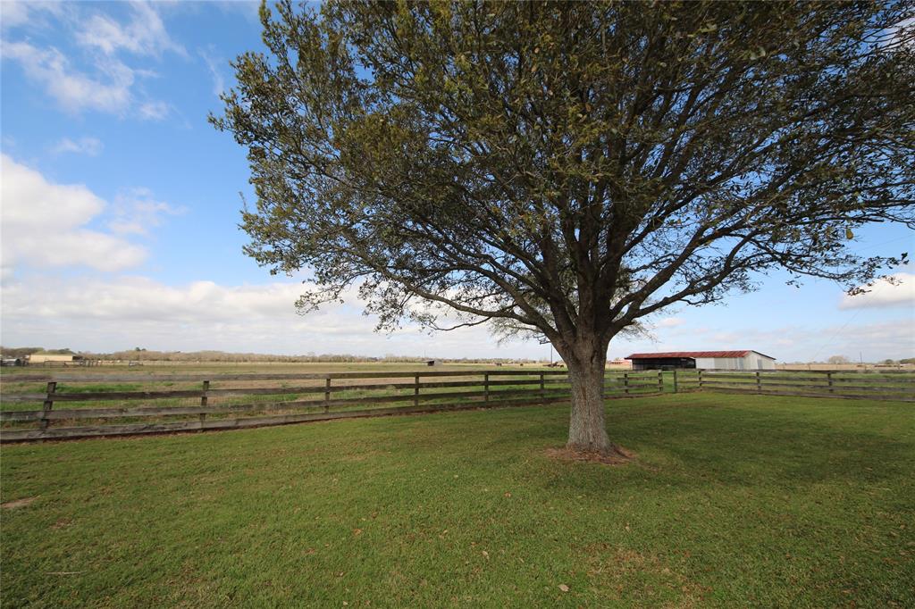37453 Betka Road, Hempstead, Texas image 22