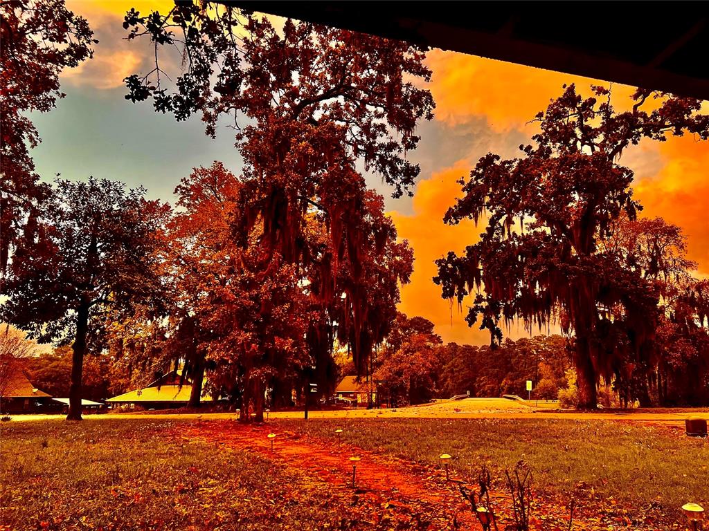11 West Forest Drive, Huntsville, Texas image 20