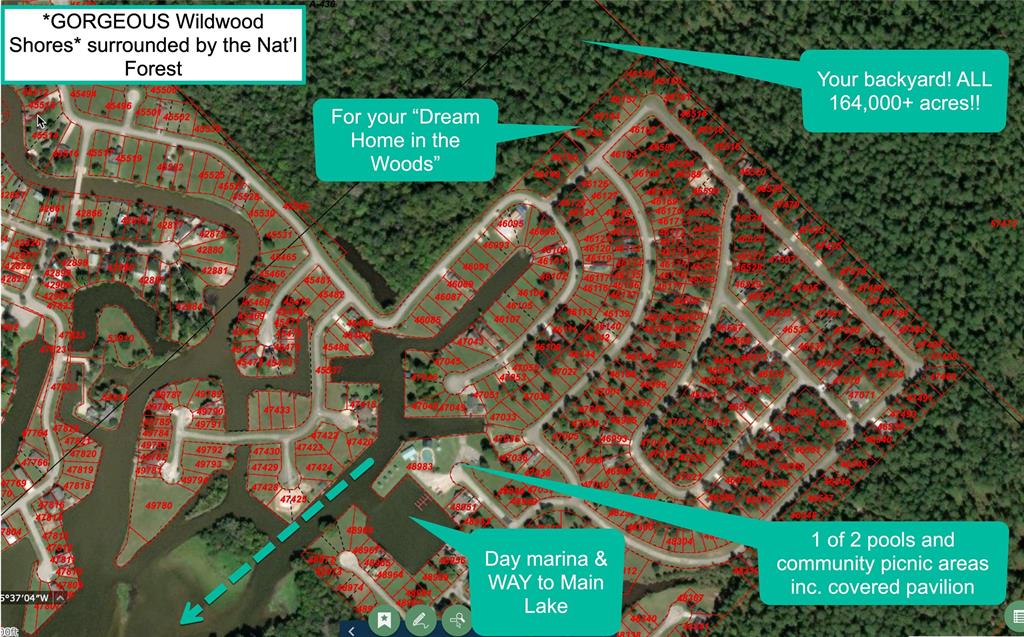 11 West Forest Drive, Huntsville, Texas image 2