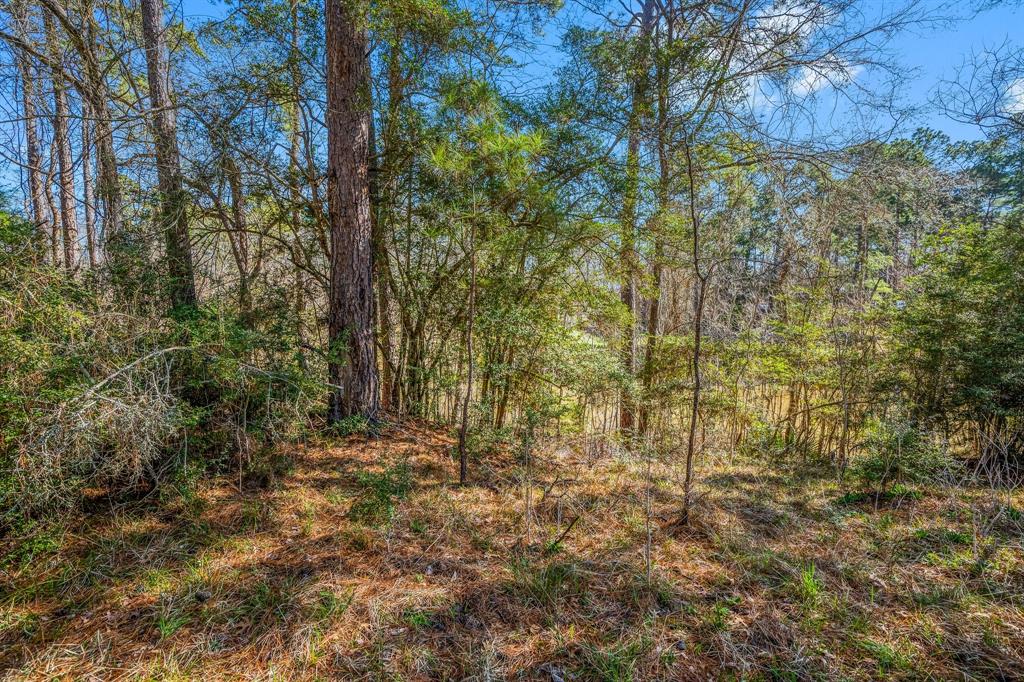 26 Twinstone Circle, Coldspring, Texas image 16