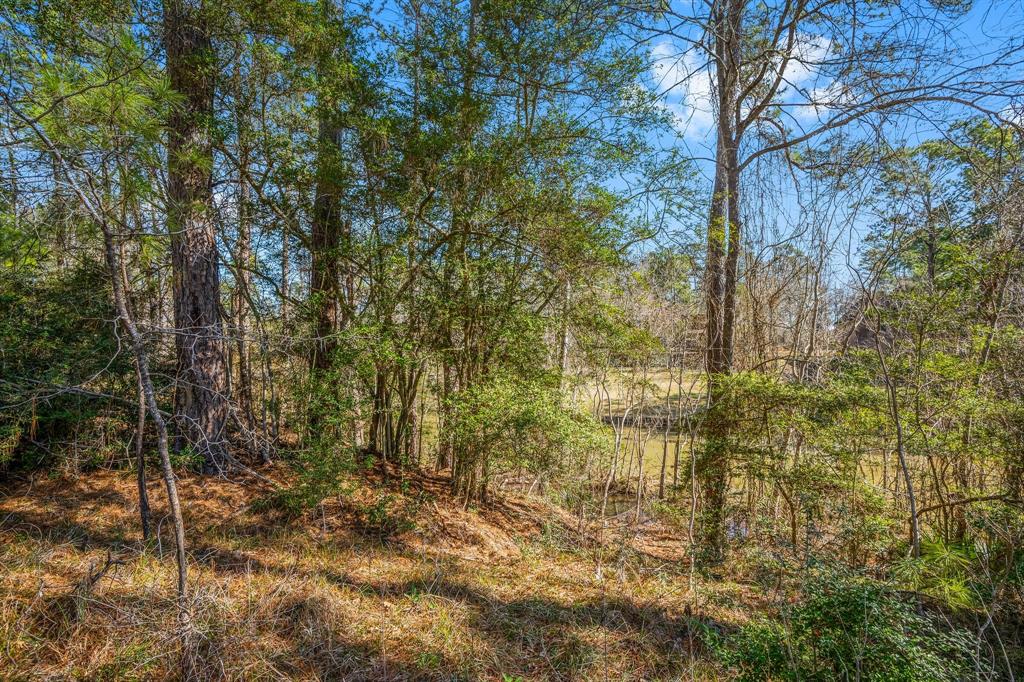 26 Twinstone Circle, Coldspring, Texas image 15