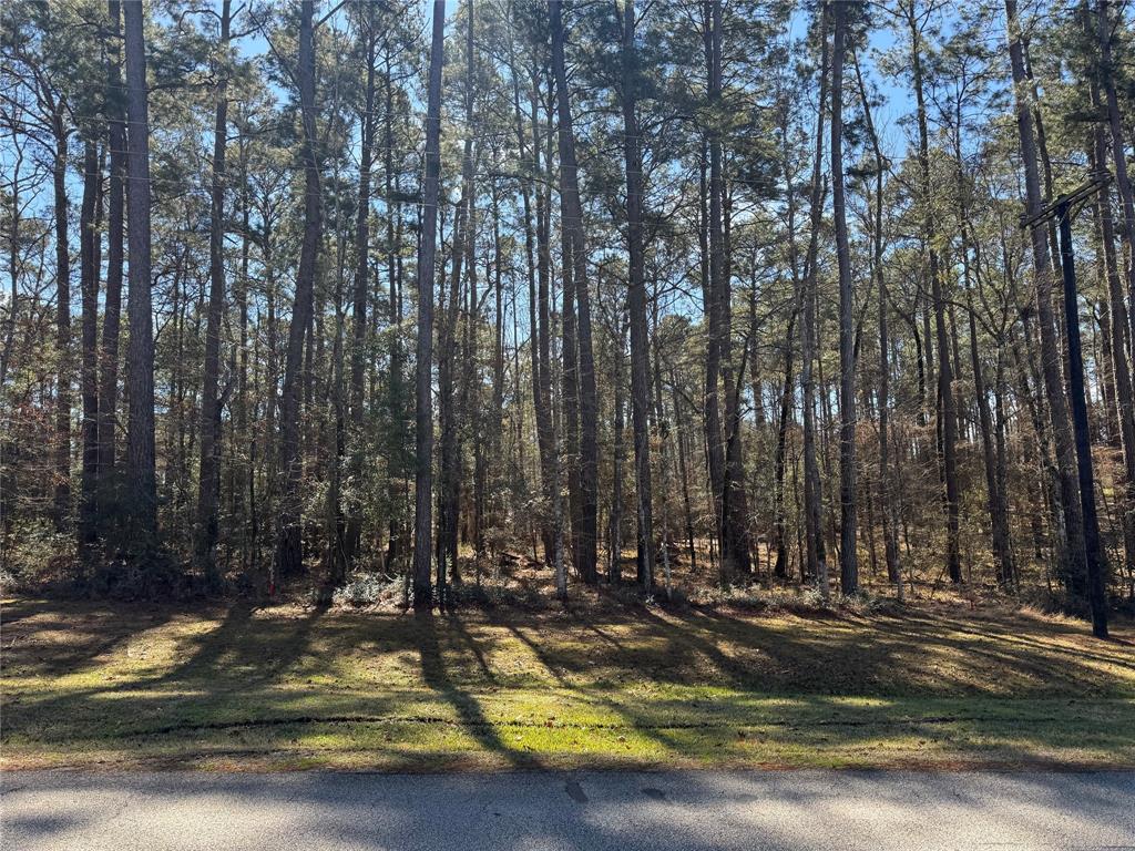 14 Altwood Drive, Coldspring, Texas image 4