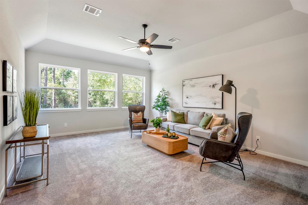 308 Magnolia Bloom Court, Willis, Texas image 33
