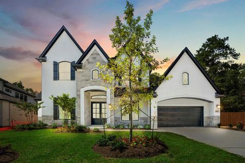 308 Magnolia Bloom Court Willis TX 77318