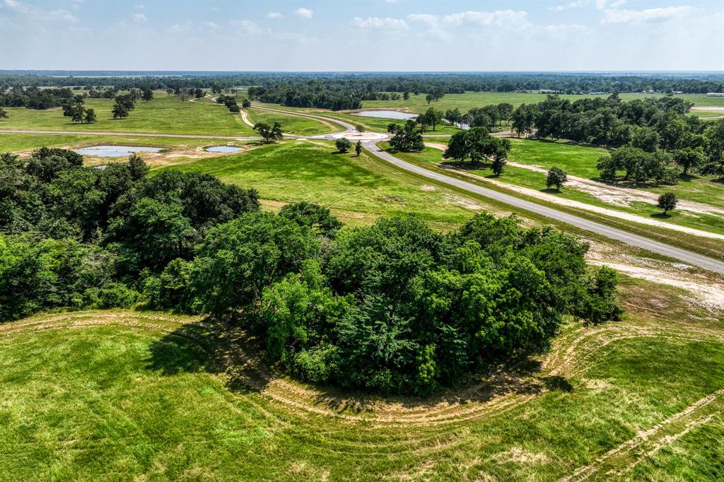 6388 Old Three Hundred Drive, Washington, Texas image 40