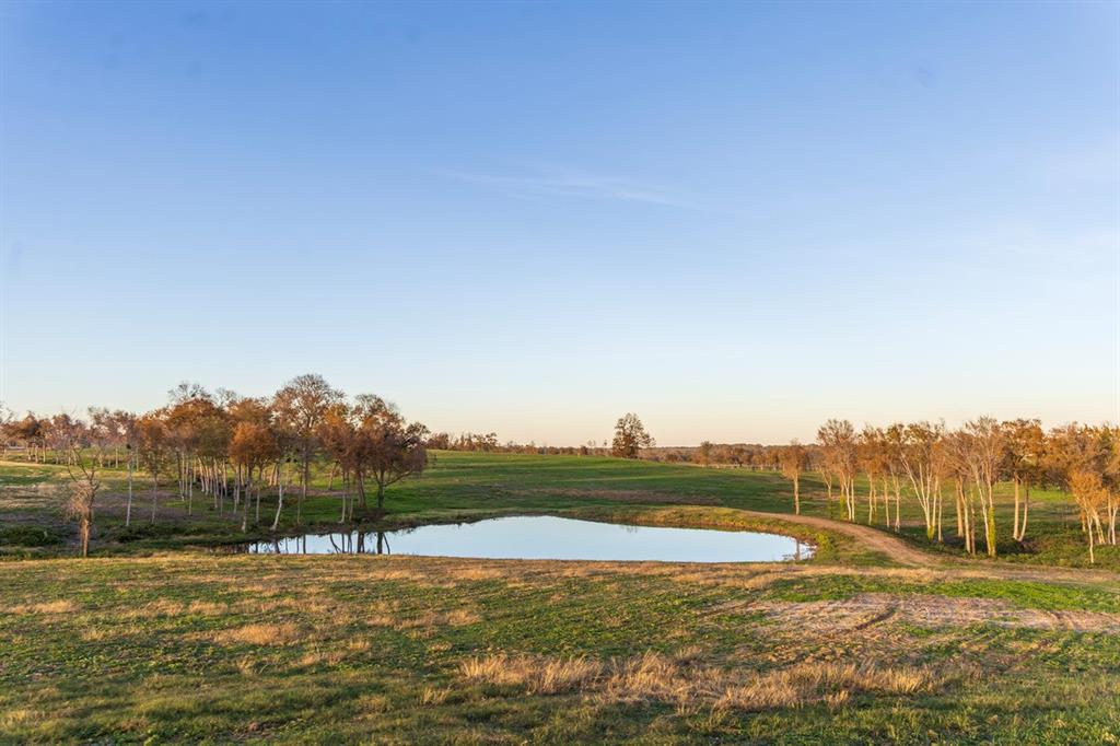 6388 Old Three Hundred Drive, Washington, Texas image 12