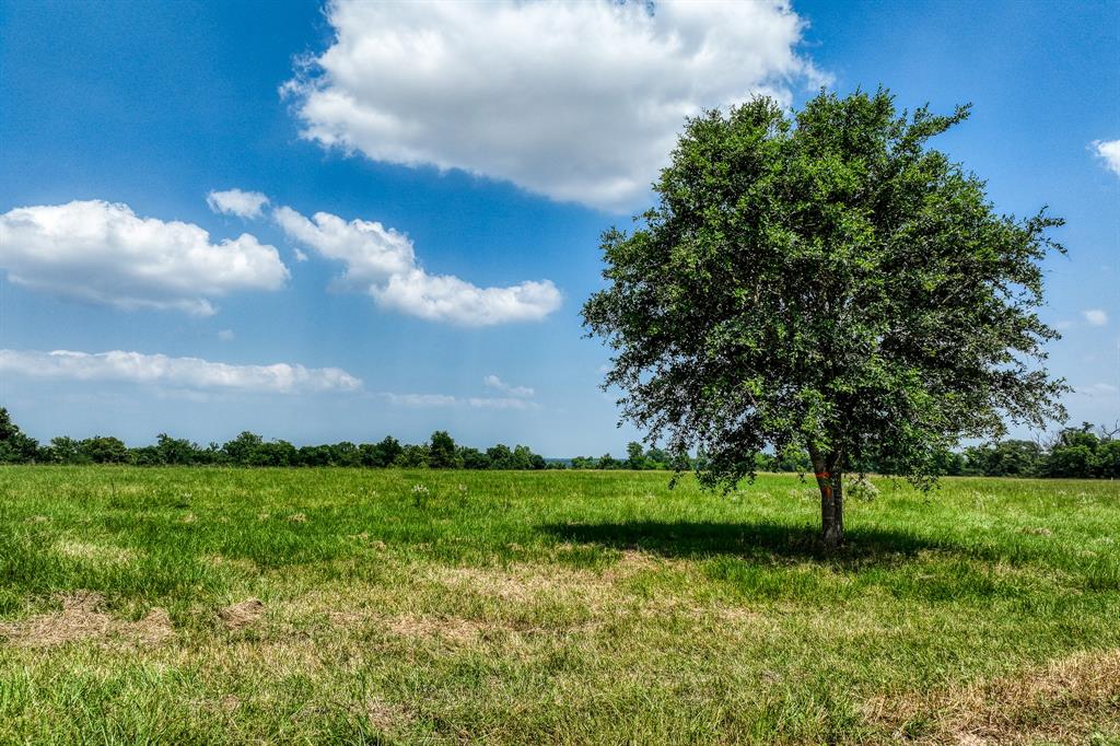 6388 Old Three Hundred Drive, Washington, Texas image 2