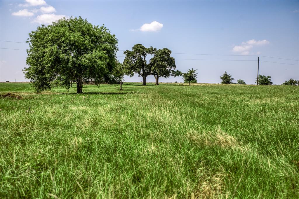 6388 Old Three Hundred Drive, Washington, Texas image 22