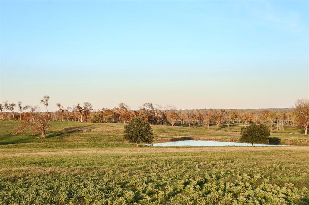 6388 Old Three Hundred Drive, Washington, Texas image 9