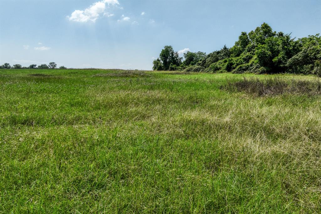 6388 Old Three Hundred Drive, Washington, Texas image 35