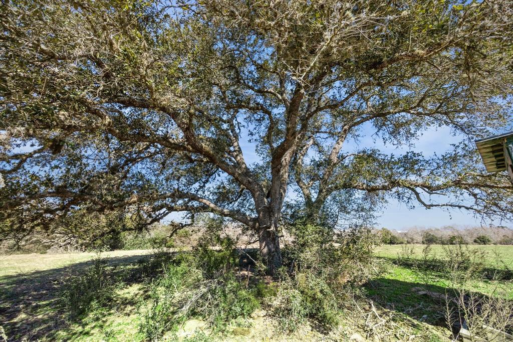 16204 Newberg, Cat Spring, Texas image 8