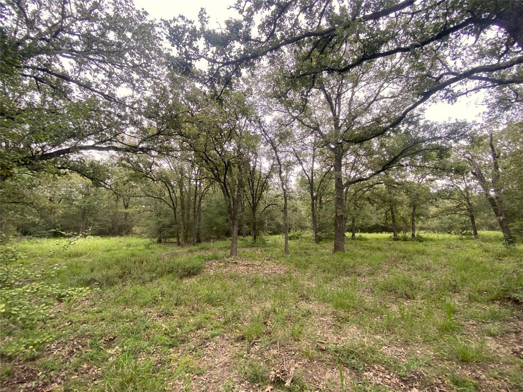 125 Acres County Road 123, Bedias, Texas image 32