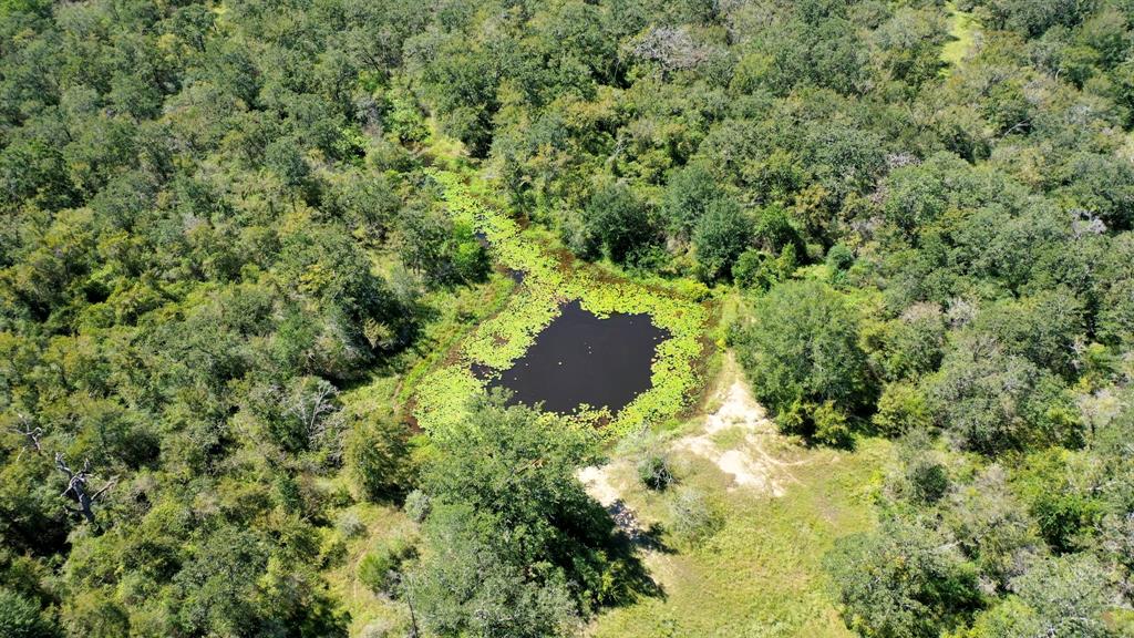 125 Acres County Road 123, Bedias, Texas image 8