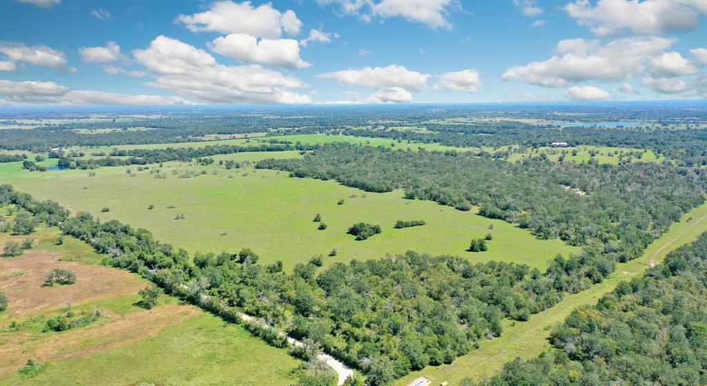 125 Acres County Road 123, Bedias, Texas image 6