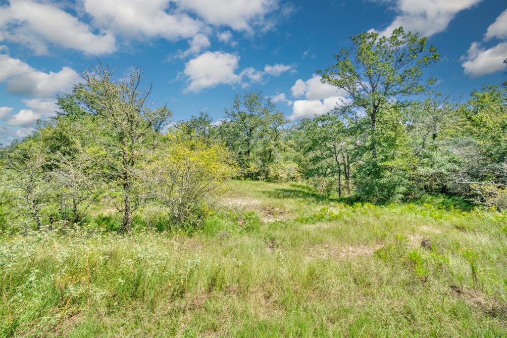 125 Acres County Road 123, Bedias, Texas image 21