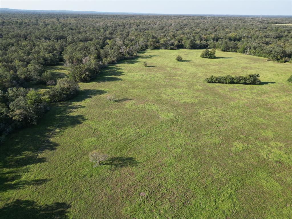 125 Acres County Road 123, Bedias, Texas image 37