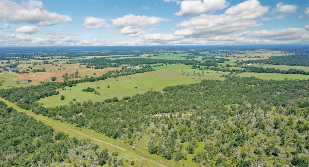 125 Acres County Road 123, Bedias, Texas image 31