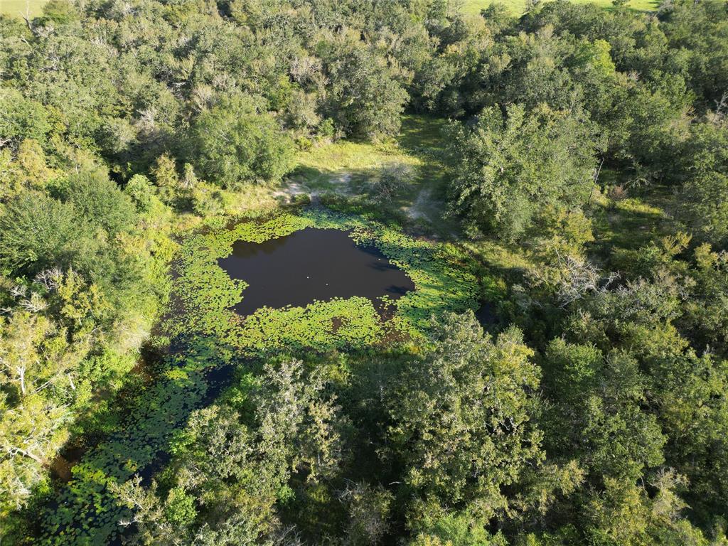 125 Acres County Road 123, Bedias, Texas image 45