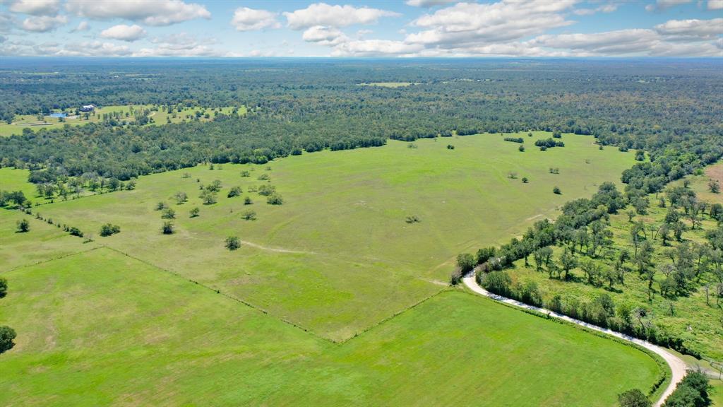 125 Acres County Road 123, Bedias, Texas image 12