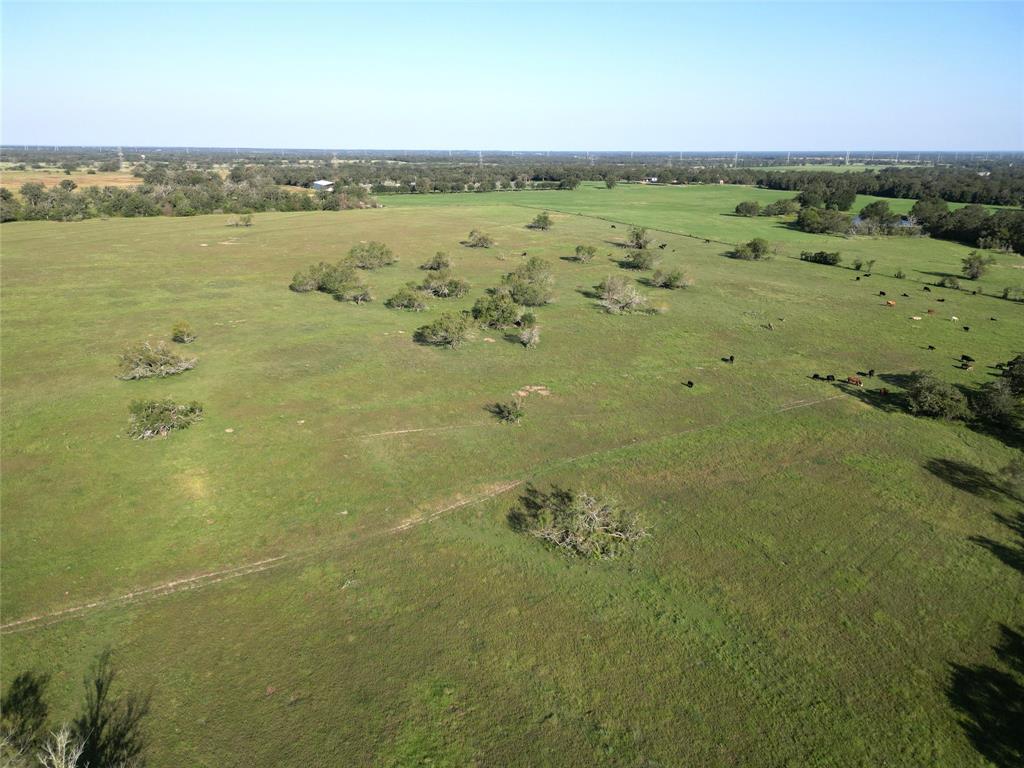 125 Acres County Road 123, Bedias, Texas image 19