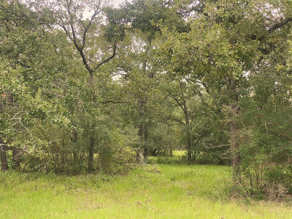 125 Acres County Road 123, Bedias, Texas image 35