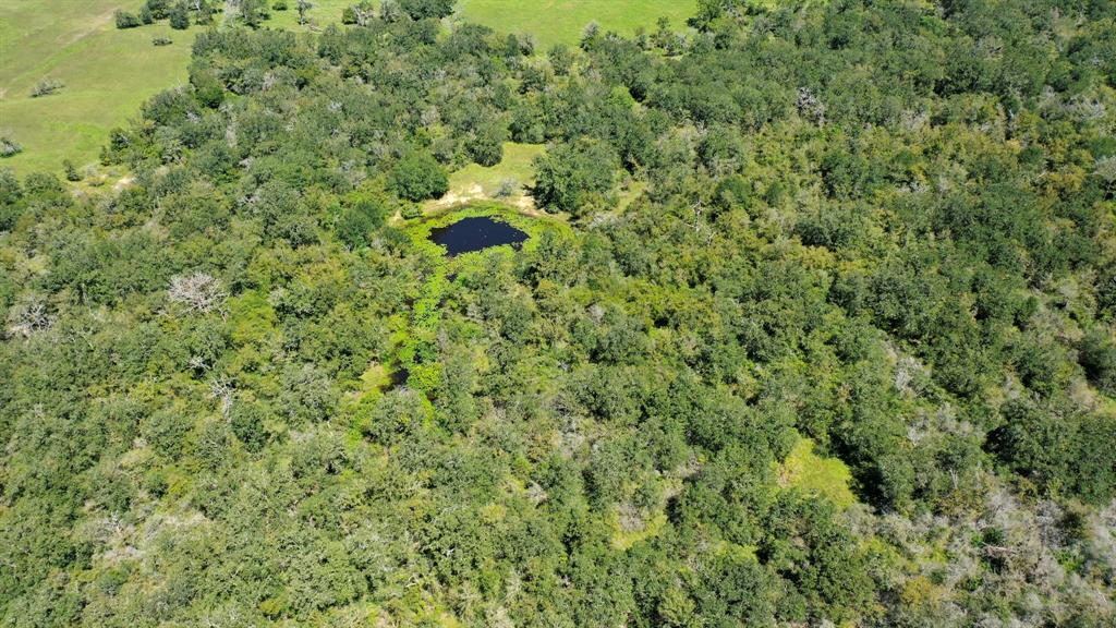 125 Acres County Road 123, Bedias, Texas image 24