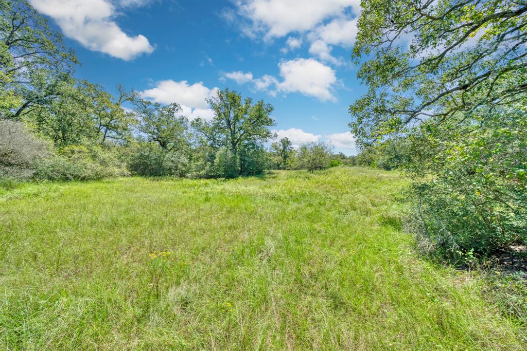 125 Acres County Road 123, Bedias, Texas image 3