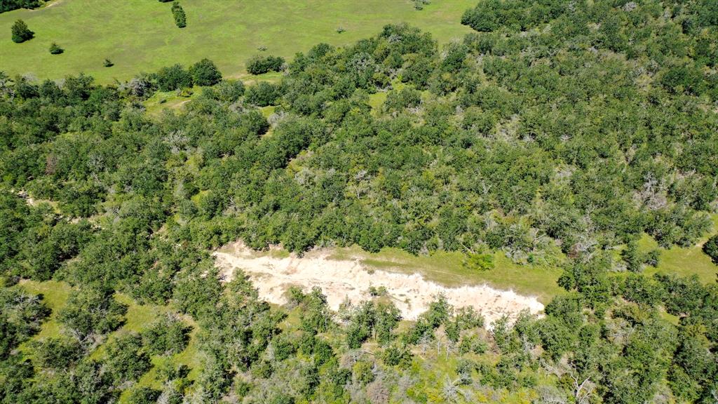 125 Acres County Road 123, Bedias, Texas image 27