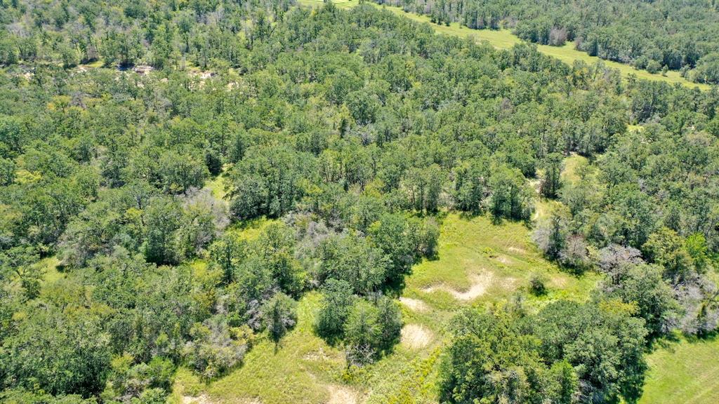 125 Acres County Road 123, Bedias, Texas image 30