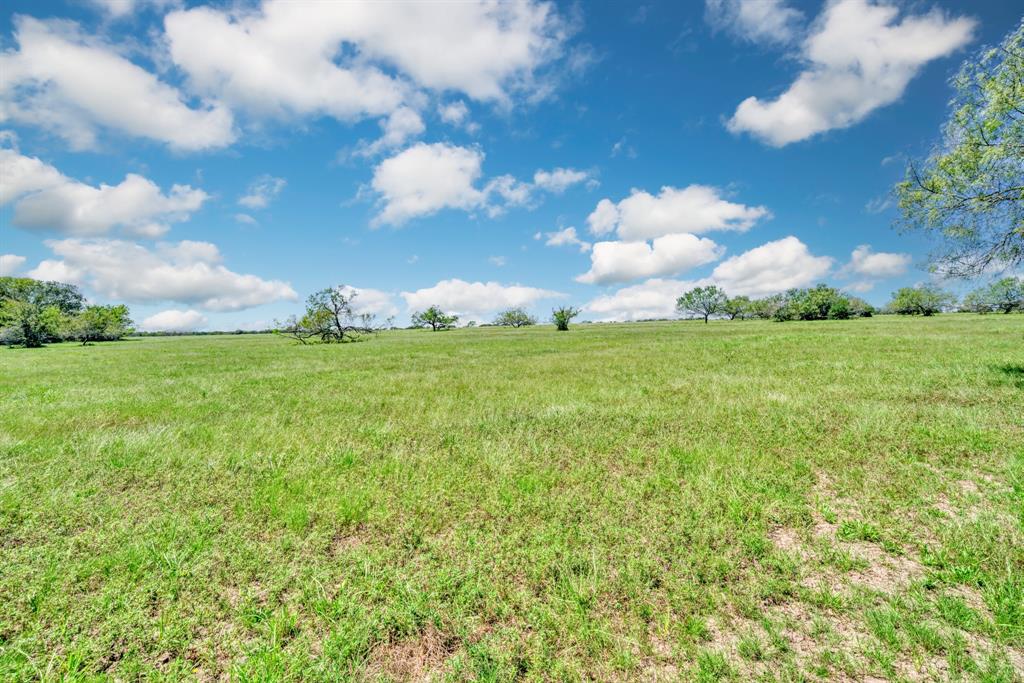 125 Acres County Road 123, Bedias, Texas image 2