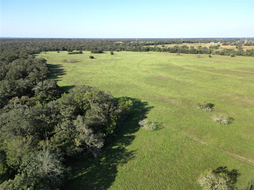 125 Acres County Road 123, Bedias, Texas image 17