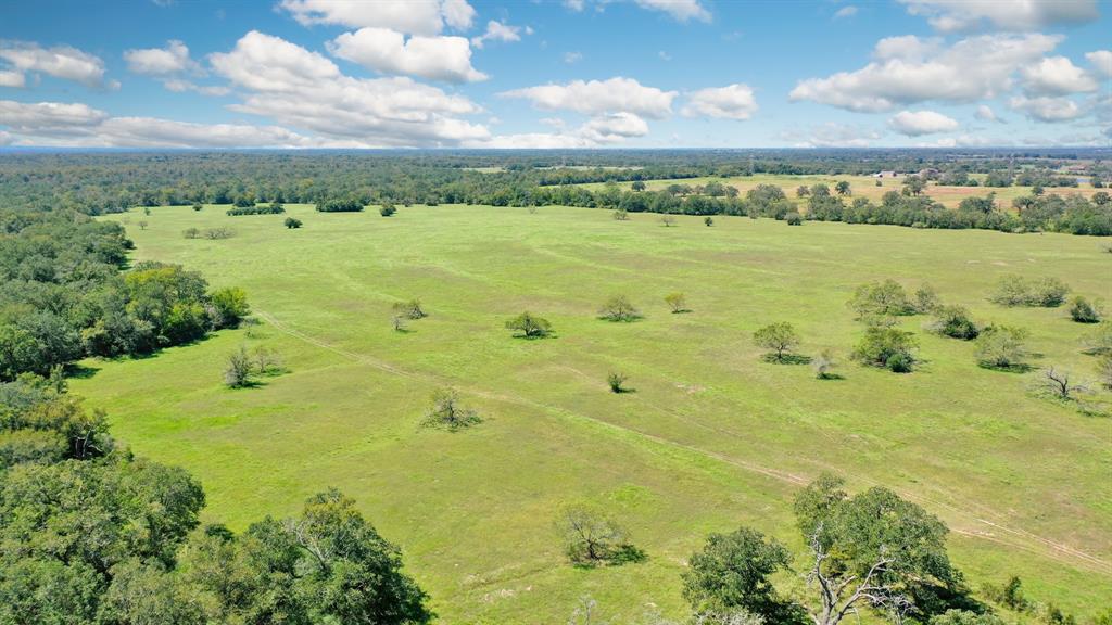 125 Acres County Road 123, Bedias, Texas image 1