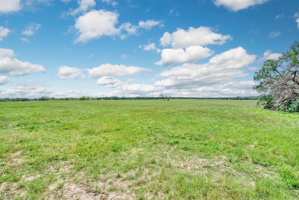 125 Acres County Road 123, Bedias, Texas image 11