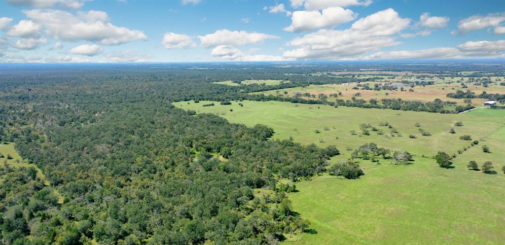 125 Acres County Road 123, Bedias, Texas image 14