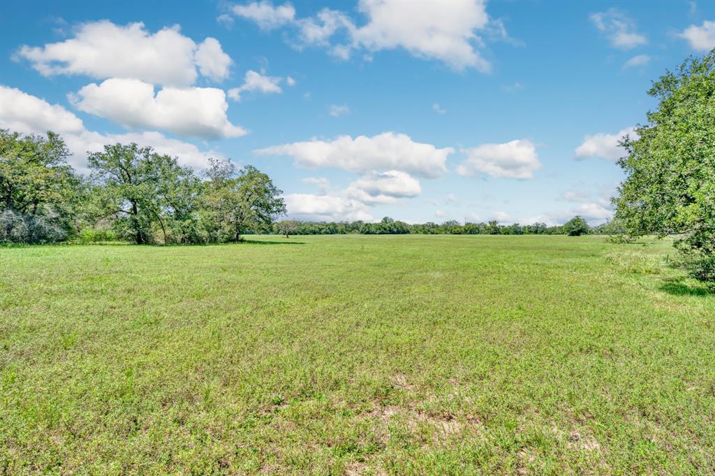 125 Acres County Road 123, Bedias, Texas image 5