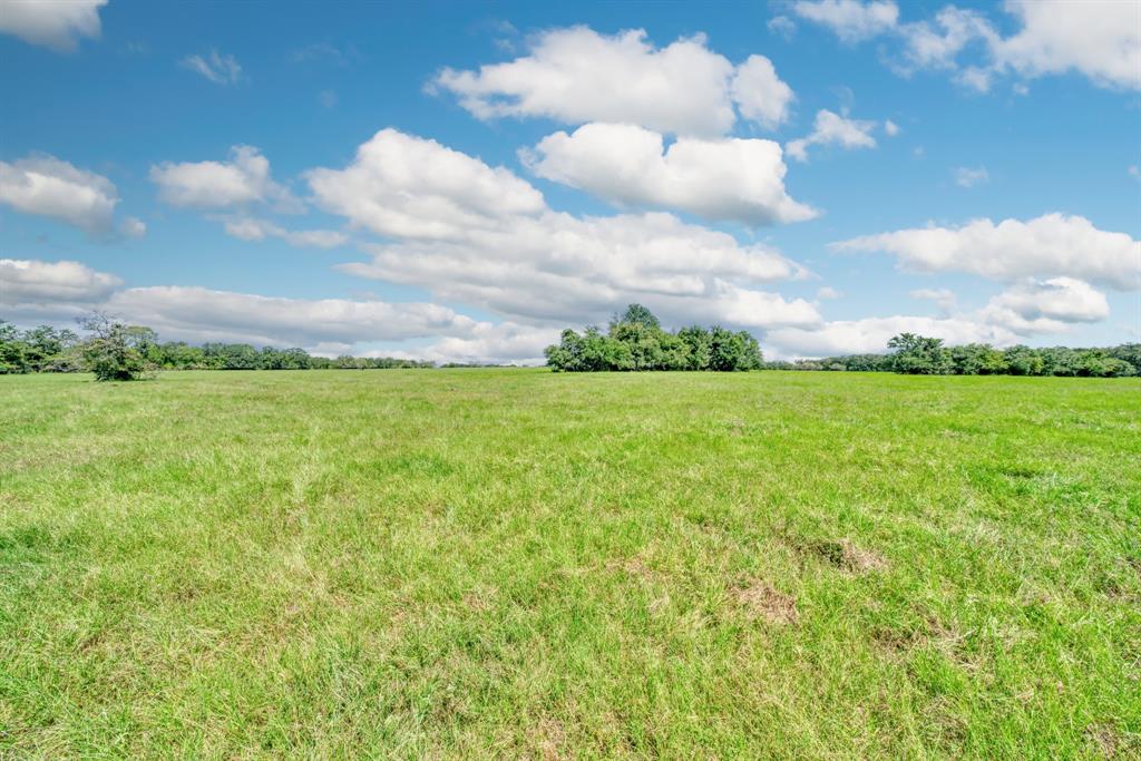 125 Acres County Road 123, Bedias, Texas image 16