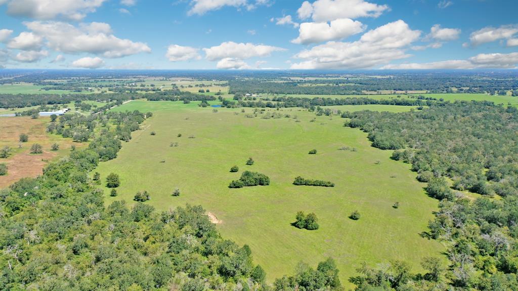 125 Acres County Road 123, Bedias, Texas image 4